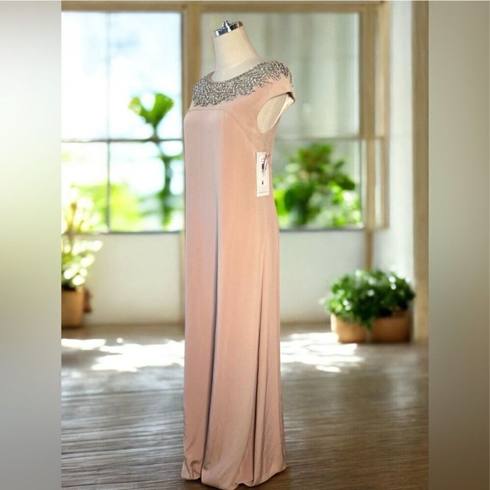 Theia Embellished Blush Gown Cap Sleeve Formal Dress - Picture 8 of 16